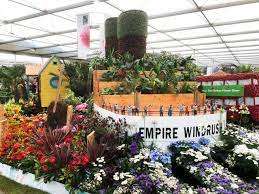 Windrush flower display